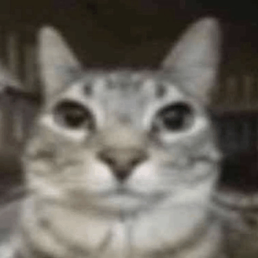 knnjoknjk
